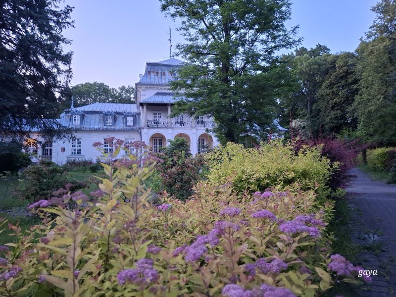 pałac w letniej scenerii