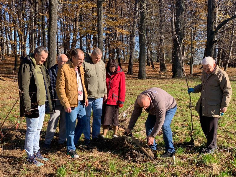 mieszkańcy sadzą drzewka