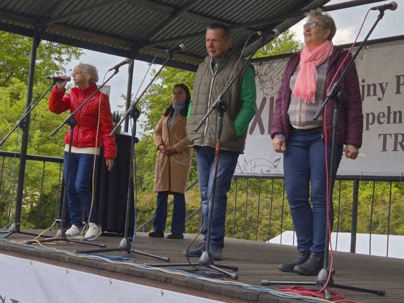 występy na pikniku