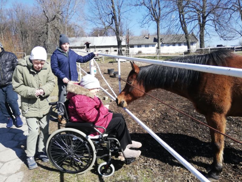 Mieszkańcy w odwiedzinach w stadninie