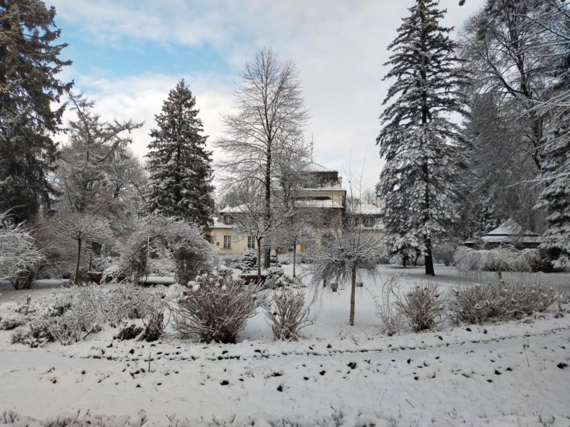 ośnieżony pałac i ogród