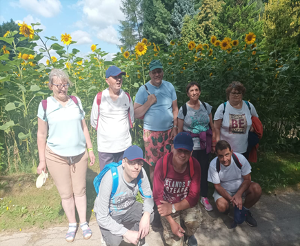 mieszkańcy na tle słoneczników